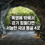 폭염에 밖에서 걷기 힘들다면, 한여름에도 서늘한 국내 동굴 4곳 a61dfd6a-e174-4036-9031-20742b3bc104