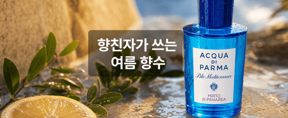 향친자가 쓰는 여름 향수, 순위 없이 취향별로 골라봤습니다