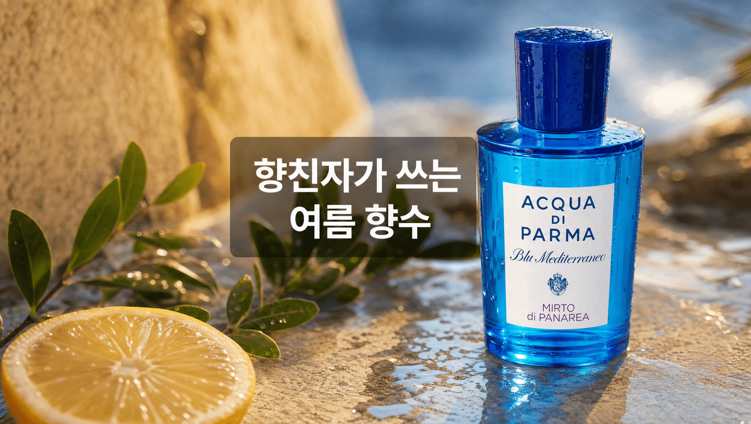 향친자가 쓰는 여름 향수, 순위 없이 취향별로 골라봤습니다