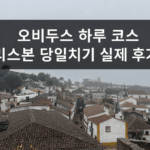 성벽에서 내려다본 안개 낀 오비두스 마을 전경과 오비두스 하루 코스 제목