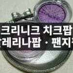 크리니크 치크팝 발레리나팝 실사용 후기, 팬지팝과 발색 비교 크리니크 치크팝 발레리나팝과 팬지팝 제품 사진