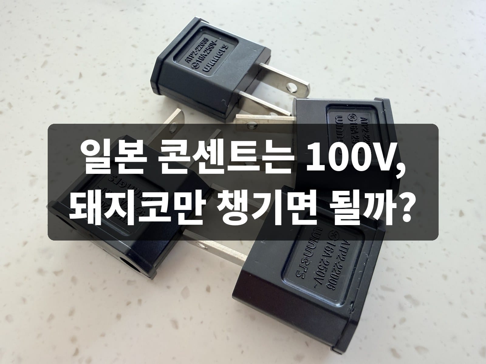 일본 콘센트는 100V, 돼지코만 챙기면 될까?