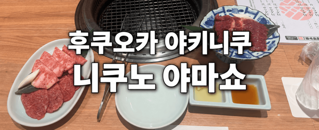 후쿠오카 야키니쿠 니쿠노 야마쇼 후기, 텐진 카운터석에서 혼자 먹은 부위별 맛